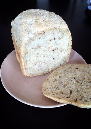 ☆HBで食物繊維たっぷりのヘルシーパン☆-レシピのメイン写真