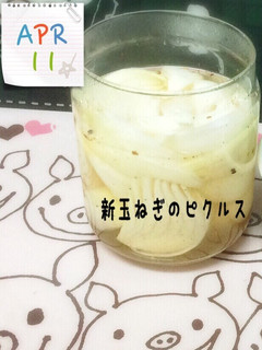 新玉ねぎのぴくるす-レシピのメイン写真
