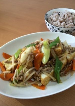厚揚げのネギと挽肉のあんかけ-レシピのメイン写真