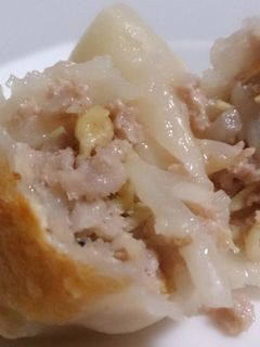 簡単もやし餃子♪-レシピのメイン写真