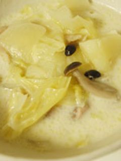 キノコとキャベツと鶏肉のスープ-レシピのメイン写真