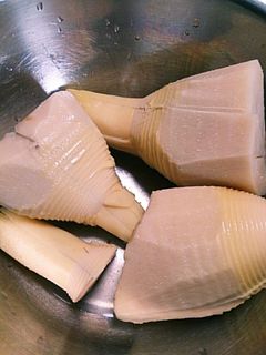 旬の筍を美味しくアク抜きするには☆-レシピのメイン写真