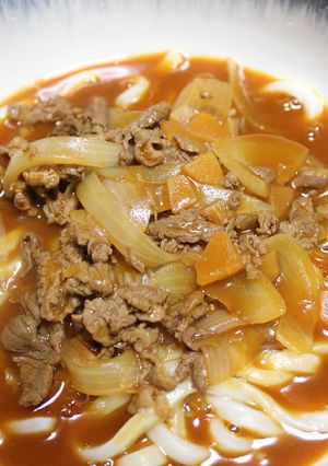 なつかしい味!ハヤシうどん♪-レシピのメイン写真