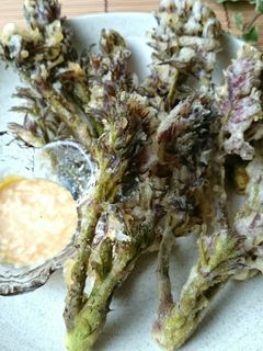 サクッとたらの芽の天ぷら☆醤油マヨで~★-レシピのメイン写真
