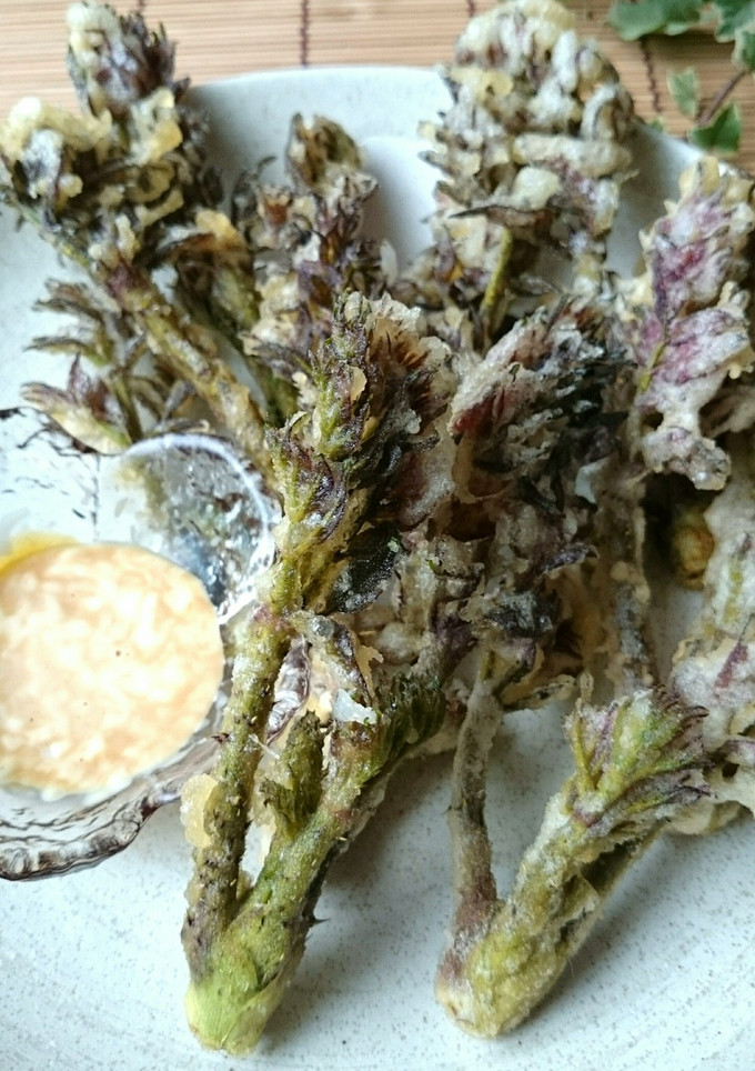 サクッとたらの芽の天ぷら☆醤油マヨで～★-レシピのメイン写真