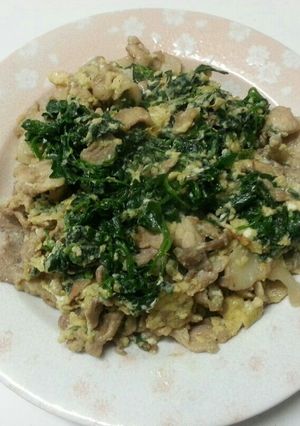 豚細切れ肉とおこぎの卵とじ-レシピのメイン写真