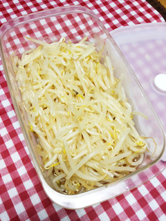 モヤシでシンプル常備菜♪-レシピのメイン写真