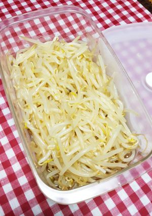 モヤシでシンプル常備菜♪-レシピのメイン写真