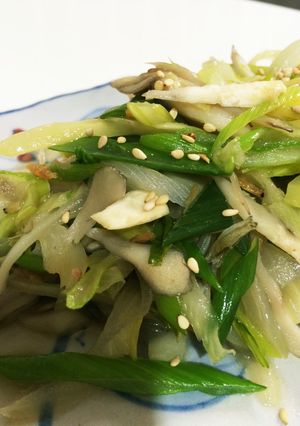 簡単！おつまみ☆セロリとネギの中華炒め-レシピのメイン写真