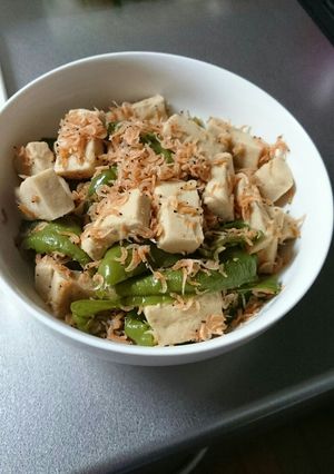 ピーマン・高野豆腐・オキアミのさっと煮-レシピのメイン写真