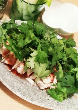 パクチー大好き！鶏むね肉ナンプラーソース-レシピのメイン写真