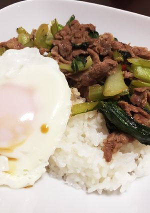 豚肉チンゲン菜の中華炒め丼ガパオライス風-レシピのメイン写真
