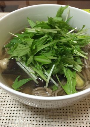 鶏肉となすのそば-レシピのメイン写真