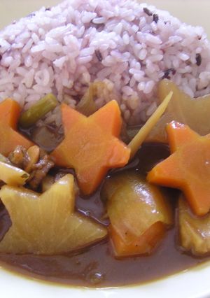 星降る夜は…根菜カレー　☆・。*-レシピのメイン写真