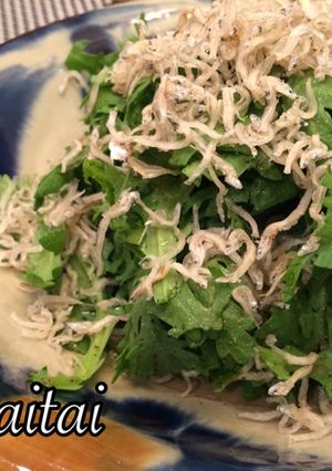 春菊とちりめんじゃこのサラダ-レシピのメイン写真