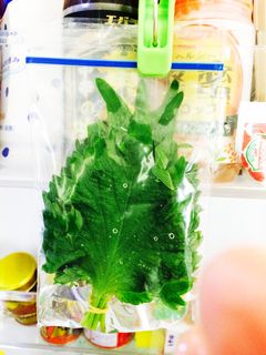 しその保存-レシピのメイン写真