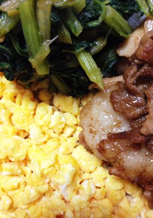時短3色弁当！-レシピのメイン写真