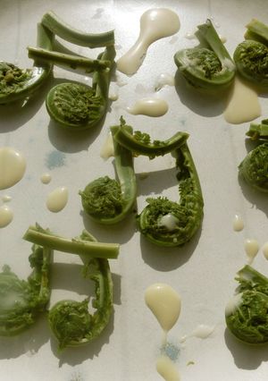 コゴミの昆布茶入りマヨネーズかけ簡単-レシピのメイン写真