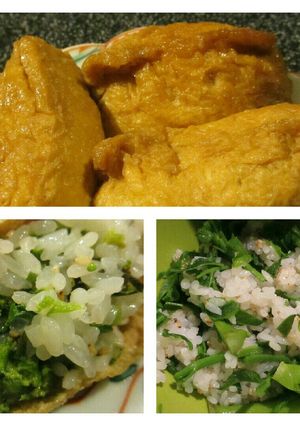 稲荷にタラノメふきのとうコシアブラうこぎ-レシピのメイン写真
