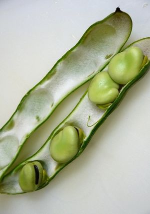 レンジで簡単！そらまめの下処理-レシピのメイン写真