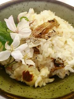 浜のかあちゃんの鯛めし-レシピのメイン写真