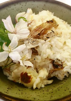 浜のかあちゃんの鯛めし-レシピのメイン写真