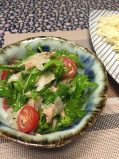 新玉ねぎとわさび菜のツナマリネ-レシピのメイン写真