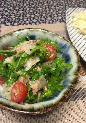 新玉ねぎとわさび菜のツナマリネ-レシピのメイン写真