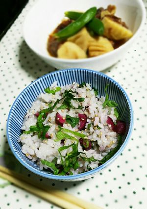 しば漬けシソご飯-レシピのメイン写真
