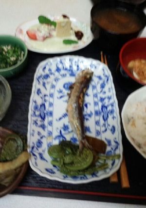 血管プラークダイエット食261(筍煮)-レシピのメイン写真