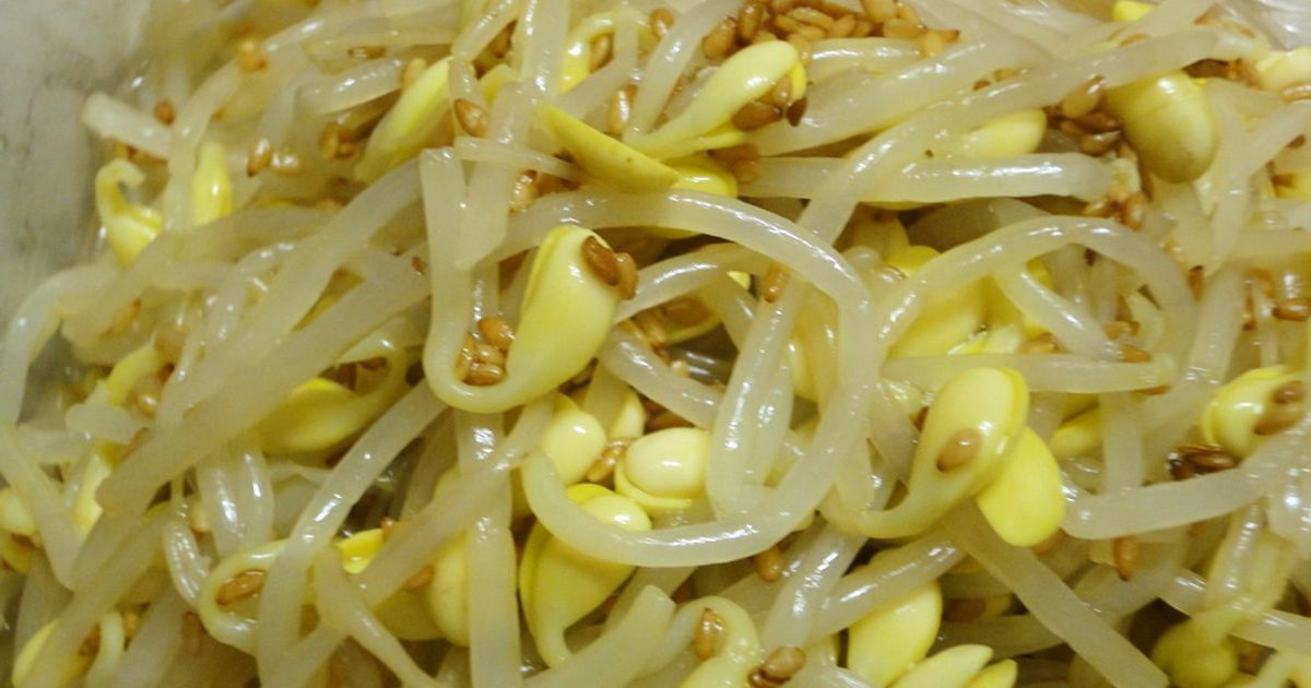 豆もやし様 photo.jpg