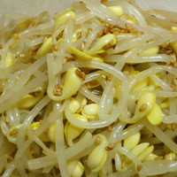 豆もやしの簡単レシピ！ナムルから手軽な和えものまで