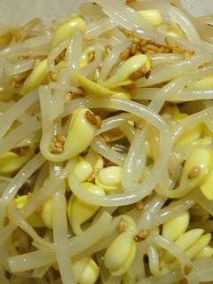 韓国の家庭の味1!豆もやしのナムル-レシピのメイン写真