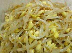 韓国の家庭の味１！豆もやしのナムル-レシピのメイン写真