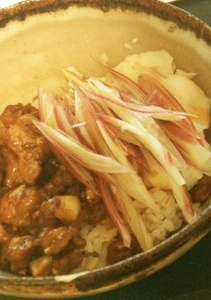 羊の肉味噌-レシピのメイン写真
