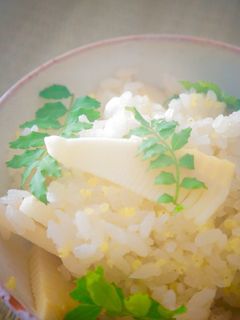 もちきび入りあっさり筍ごはん-レシピのメイン写真