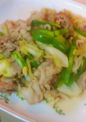 面倒くさがりな私の、肉野菜いため☆-レシピのメイン写真
