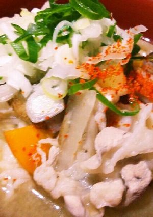 ★☆豚汁うどん☆★-レシピのメイン写真