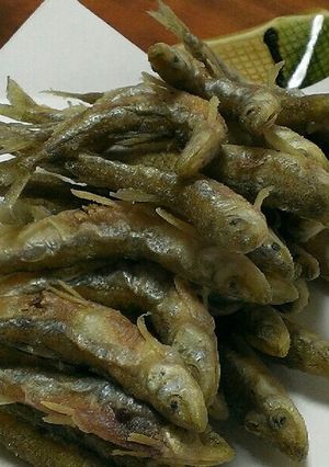 ワカサギの米粉唐揚げ-レシピのメイン写真