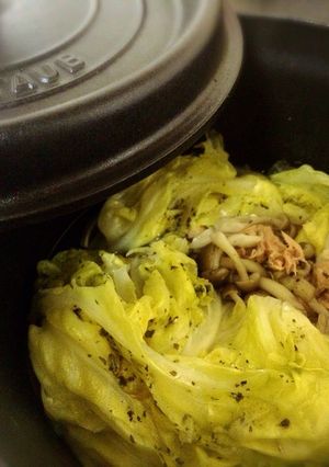 ストウブで蒸す！キャベツナきのこ-レシピのメイン写真