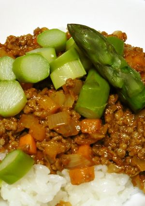 簡単♪ひき肉春風?カレー-レシピのメイン写真