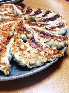 肉汁たっぷり ニラ餃子・シソ餃子-レシピのメイン写真