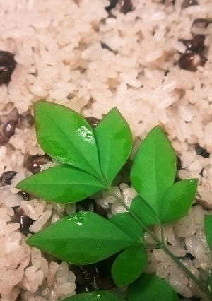 小豆が多めの赤飯♪-レシピのメイン写真
