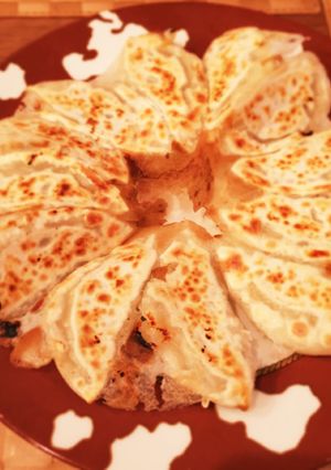 バルサミコ酢で食べる♪ 豆腐入り餃子-レシピのメイン写真