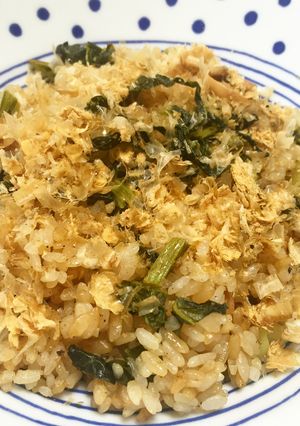 野沢菜ピラフ♪-レシピのメイン写真