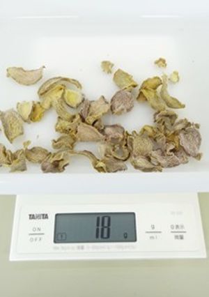 乾燥生姜の作り方（食品乾燥機で干し生姜）-レシピのメイン写真