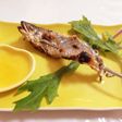 たですもどきと☆鮎の塩焼き