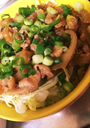 簡単♩ボリューミーシャキシャキ豚丼-レシピのメイン写真