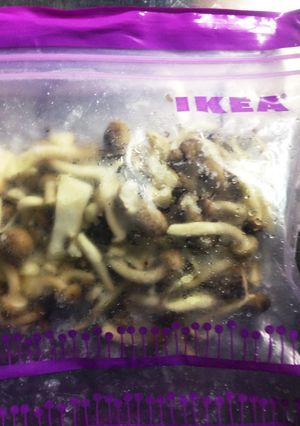 きのこミックス 保存-レシピのメイン写真