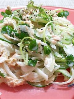 きゅうりと玉ねぎのツナサラダ-レシピのメイン写真